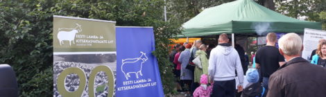 XXI Suur Paunvere Väljanäitus ja Laat